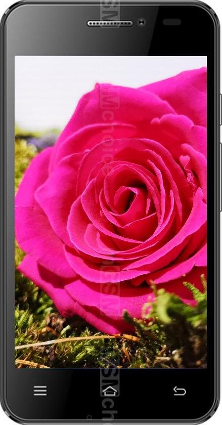 Aligator S4050 Senior