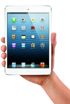 Apple iPad mini 64 GB 點擊放大
