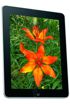 Apple iPad Wi-Fi 16 GB