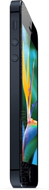 Apple iPhone 5 A1428, A1429 technical specifications Apple iPhone 5 A1428, A1429 technical specifications
