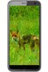 Black Fox B4 Mini NFC