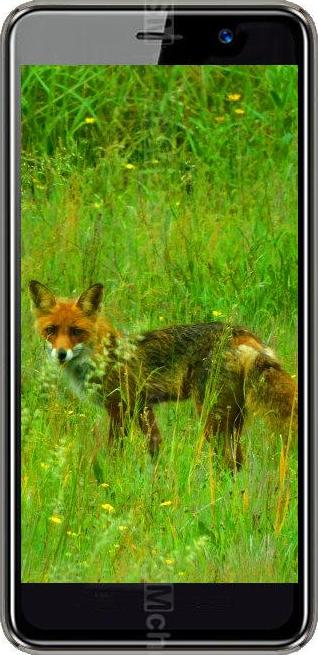 Black Fox B4 NFC