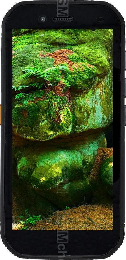 CAT S42