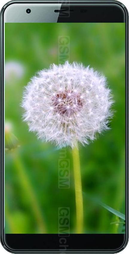 Condor Plume L1 Condor Plume L1