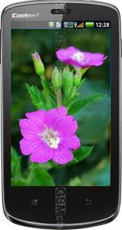 Coolpad 5880