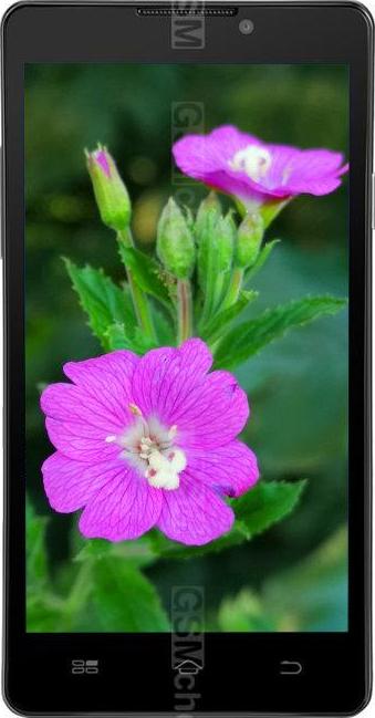 Coolpad 8297 Coolpad 8297