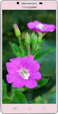 Coolpad S6 Coolpad S6
