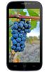 Doogee Discovery DG500C