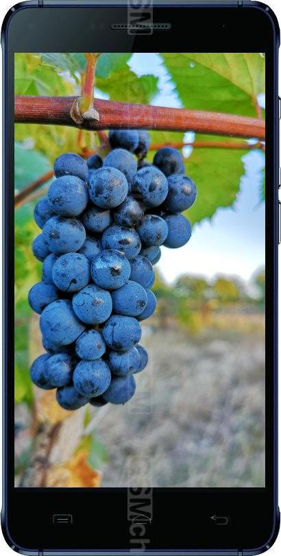 Doogee Iron Bone DG750 Doogee Iron Bone DG750