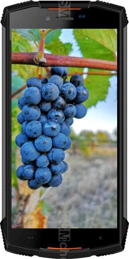 Doogee S55