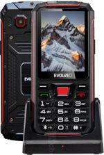 相册 Evolveo StrongPhone Z4