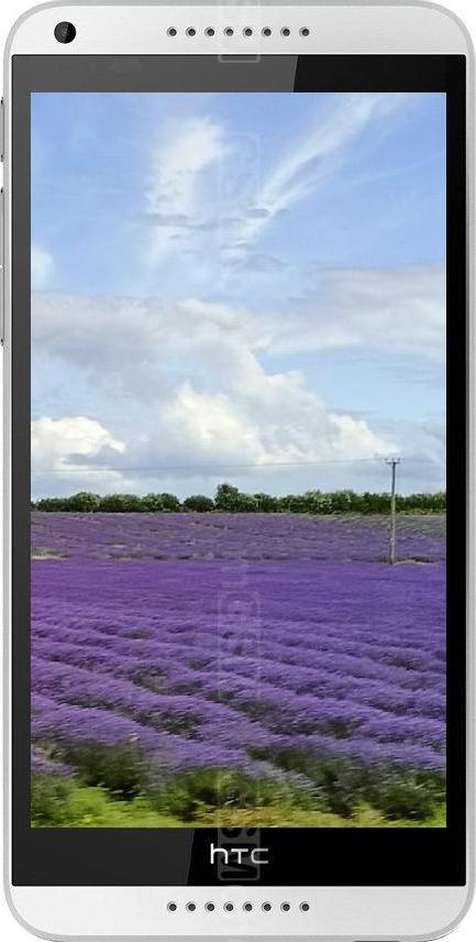 HTC Desire 816G Dual SIM