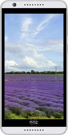 HTC Desire 820G+ dual