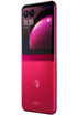 Motorola RAZR+ 2023 点击放大