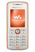 Sony Ericsson W200i