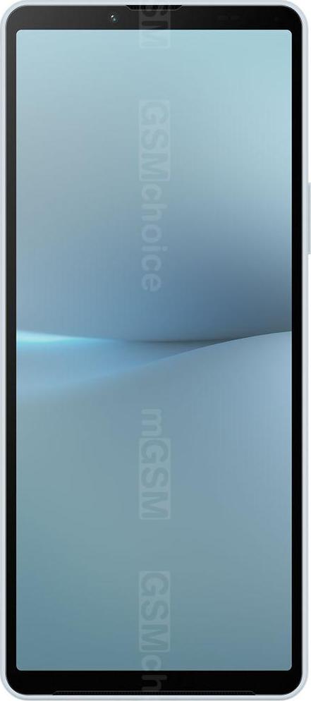 Sony Xperia 10 V Fun Edition