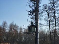 Shots from three lenses (wide, main and tele) Shots from three lenses (wide, main and tele)