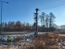 Shots from three lenses (wide, main and tele) Shots from three lenses (wide, main and tele)