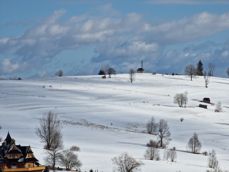 From wide angle to maximum zoom From wide angle to maximum zoom