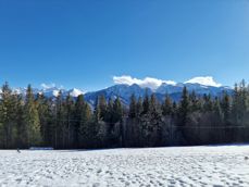 From wide angle to maximum zoom From wide angle to maximum zoom