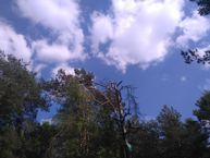 Пример фото 