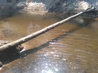 Пример фото 