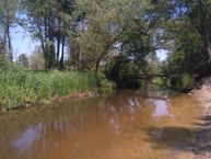 Пример фото 