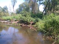 Пример фото 