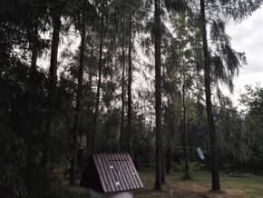 Режим Супер ночь Режим Супер ночь