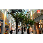 FOTOS AUS DIESEM HANDY