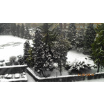 FOTOS AUS DIESEM HANDY