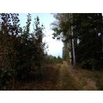 LAS FOTOS HECHAS CON ESTE TELÉFONO