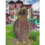 Фотографии пользователя Alcatel 3L 2020