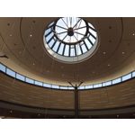 Фотографии пользователя Alcatel 3L 2020