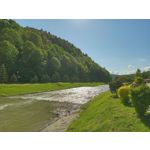 Фотографии пользователя Alcatel 3L 2020