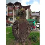 Фотографии пользователя Alcatel 3L 2020