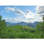 Фотографии пользователя Alcatel 3L 2020