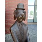 Фотографии пользователя Alcatel 3L 2020