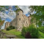 Фотографии пользователя Alcatel 3L 2020