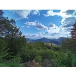 Фотографии пользователя Alcatel 3L 2020