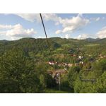 Фотографии пользователя Alcatel 3L 2020