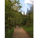 Фотографии пользователя Alcatel 3L 2020