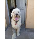 来自这款手机的图片