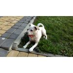 Фотографии пользователя Alcatel One Touch Go Play