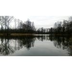 PICTURES FROM THIS PHONE