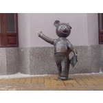 来自这款手机的图片