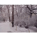 来自这款手机的图片