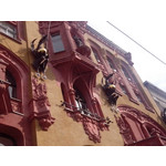 来自这款手机的图片