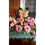 FOTO FATTE CON QUESTO TELEFONO