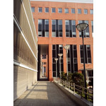 来自这款手机的图片